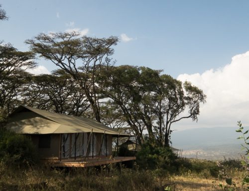 Entamanu Camp at Ngorongoro Crater