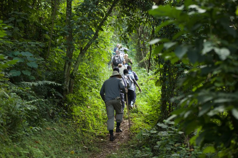 Primate tracking